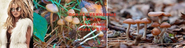 метадон Лихославль