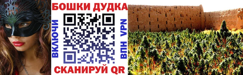 Шишки марихуана MAZAR  Луга 